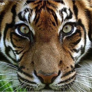 Meet your Posher, Howard